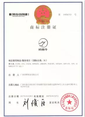 31类 - 岭南牛