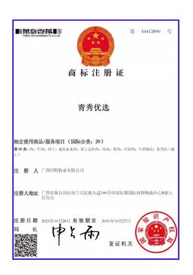 29类 - 青秀优选