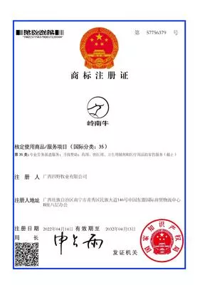 35类 - 岭南牛