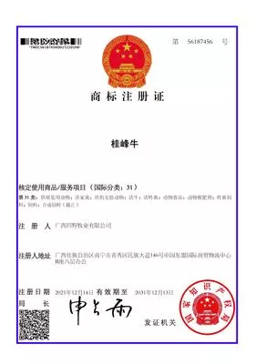 31类 - 桂峰牛